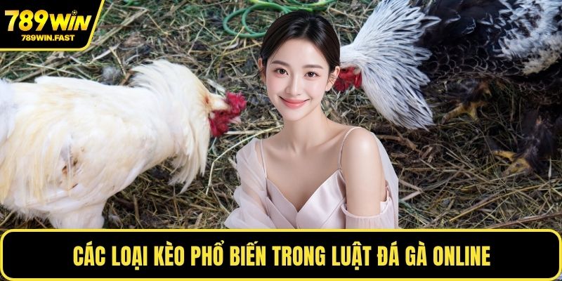 Cách Chấp Tiền Gà Chọi - Kinh Nghiệm Từ Cao Thủ Cá Cược 2 Các loại kèo phổ biến trong luật đá gà online