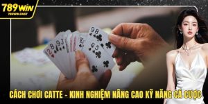 Cách chơi Catte