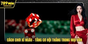 Cách chơi xí ngầu
