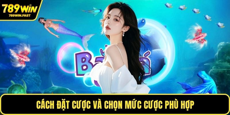 Cách đặt cược và chọn mức cược phù hợp
