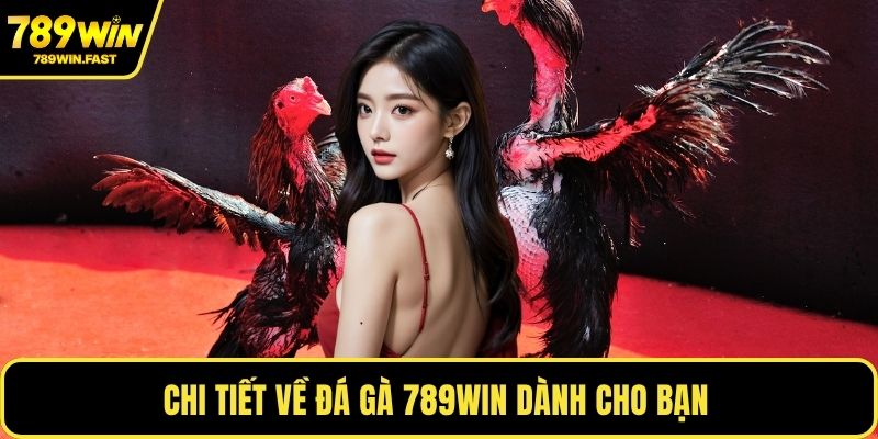 Chi tiết về đá gà 789WIN dành cho bạn 