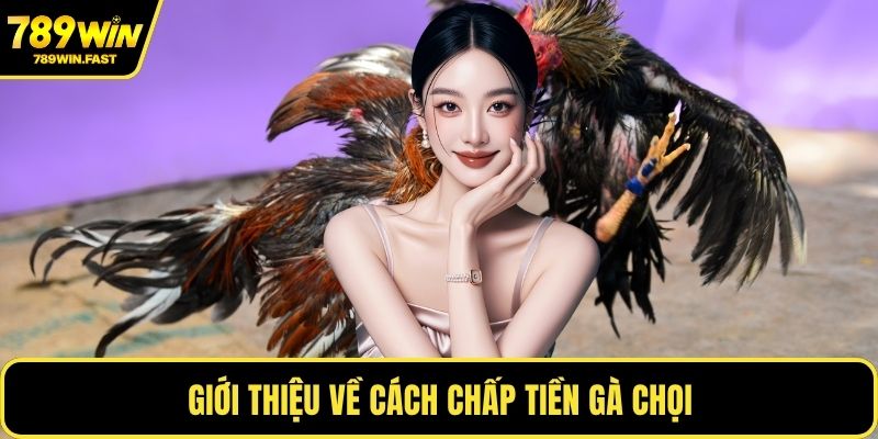 Cách Chấp Tiền Gà Chọi - Kinh Nghiệm Từ Cao Thủ Cá Cược 1 Giới thiệu về cách chấp tiền gà chọi