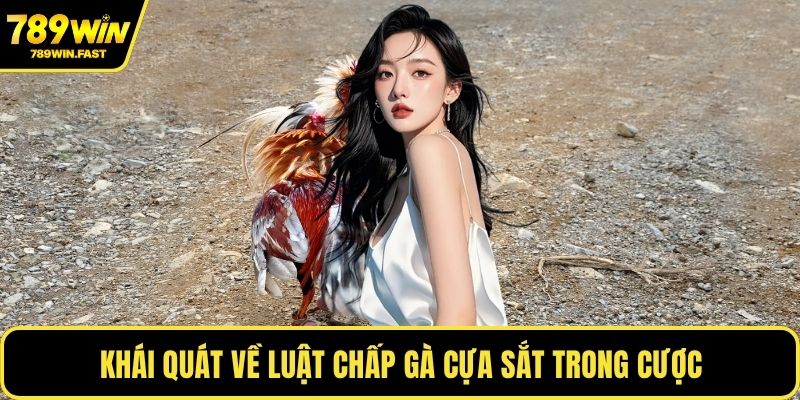 Luật Chấp Gà Cựa Sắt - Bí Quyết Thắng Cược Mọi Trận Đấu 1 Khái quát về luật chấp gà cựa sắt trong cược