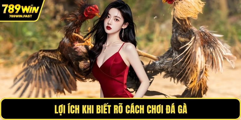 Cách Chơi Đá Gà - Mẹo Chiến Lược Thắng Cược Lâu Dài 1 Lợi ích khi biết rõ cách chơi đá gà