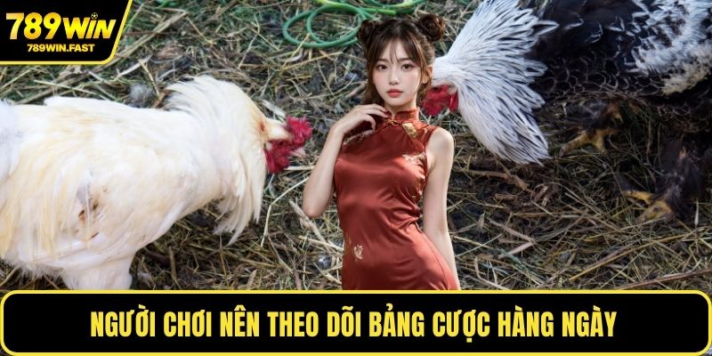 Người chơi nên theo dõi bảng cược hàng ngày 