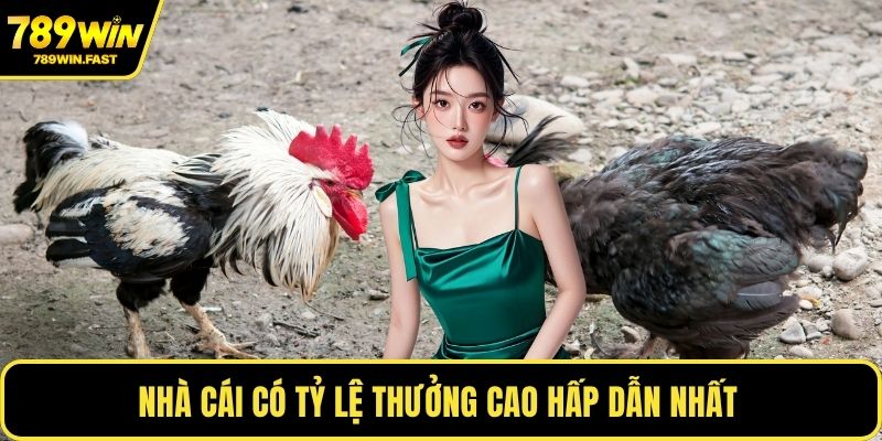 Nhà cái có tỷ lệ thưởng cao hấp dẫn nhất 