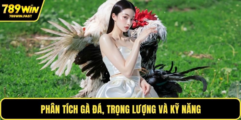Cách Chơi Đá Gà - Mẹo Chiến Lược Thắng Cược Lâu Dài 2 Phân tích gà đá, trọng lượng và kỹ năng