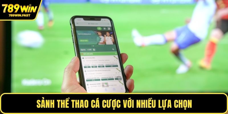 Sảnh thể thao cá cược với nhiều lựa chọn