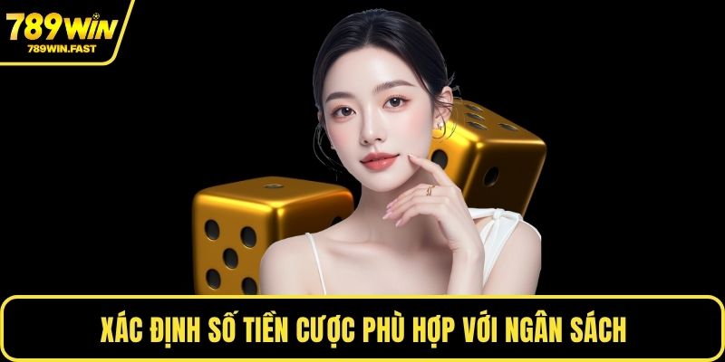 Cách Chơi Xí Ngầu - Tăng Cơ Hội Thắng Trong Mọi Ván 3 Xác định số tiền cược phù hợp với ngân sách